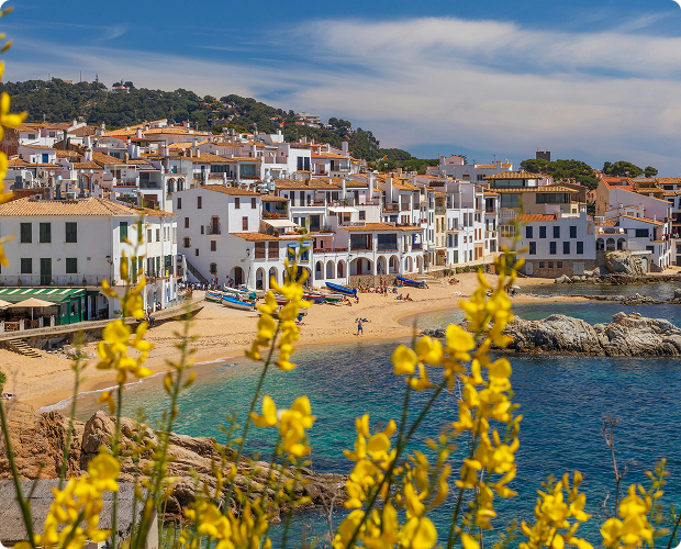 Путь к ПМЖ и гражданству